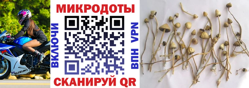 Галлюциногенные грибы Magic Shrooms Сорск
