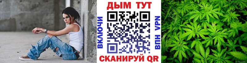 Канабис сатива  Сорск 