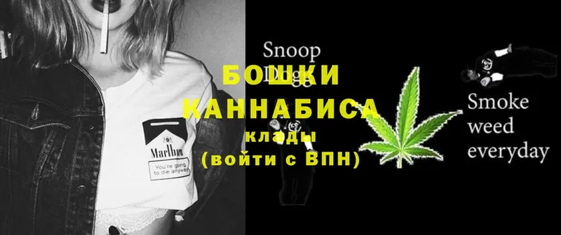 купить   Сорск  Канабис SATIVA & INDICA 